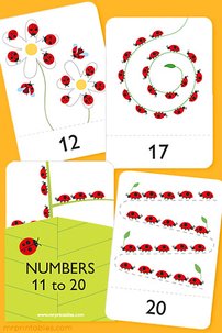 number-flash-cards-11-20