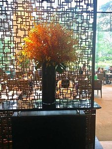 IMG_9390.JPG