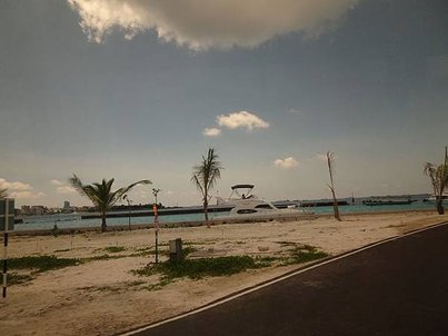 DSC07217.JPG
