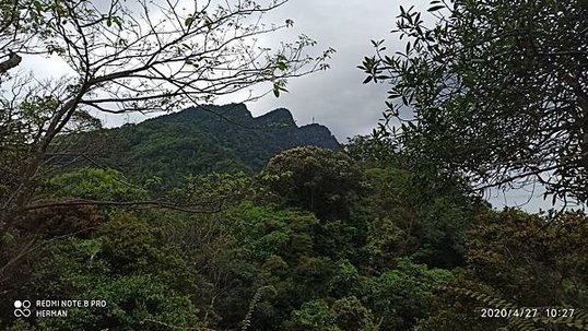 2020-04-27  新竹上坪山五指山連走   013.jpg