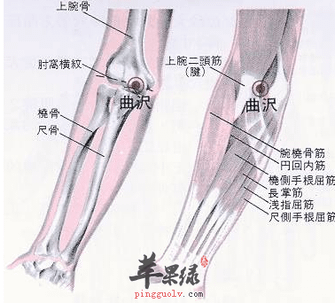 曲澤穴.png