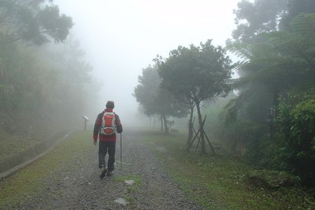 東眼山03.jpg