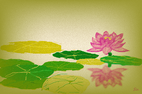 蓮花.png