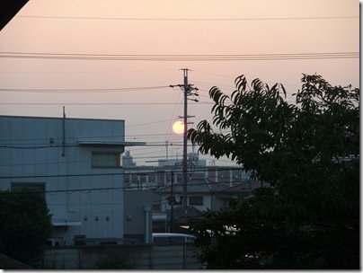 DSCF0754