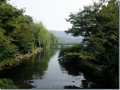 DSCF1539