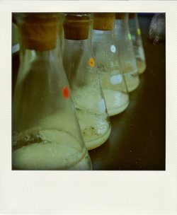 DSC_0757-pola.jpg