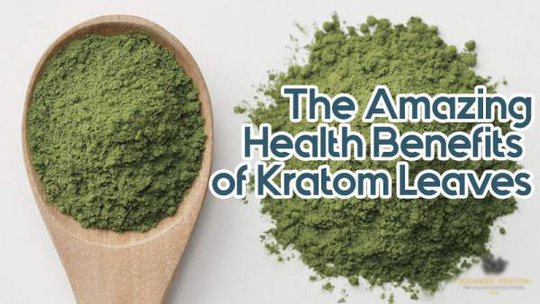 The-Amazing-Health-Benefits-of-Kratom-Leaves_optimized.jpg