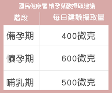 懷孕孕婦葉酸攝取量/劑量