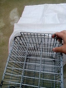 IMG_20180127_101138.jpg