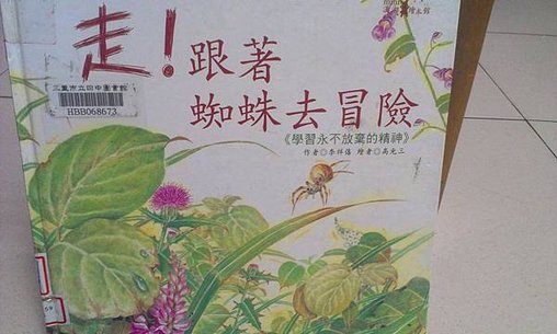 繪本分享:走！跟著 蜘蛛去冒險 ┼ 黏土蜘蛛