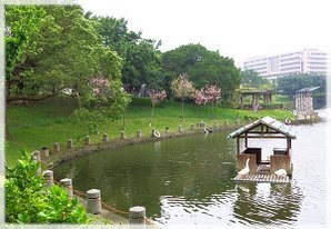 交大竹湖_039.jpg