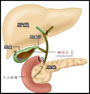 未命名.png