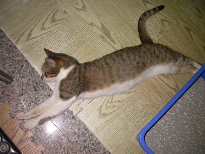 DSCN6976.JPG