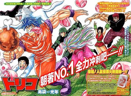 toriko 28