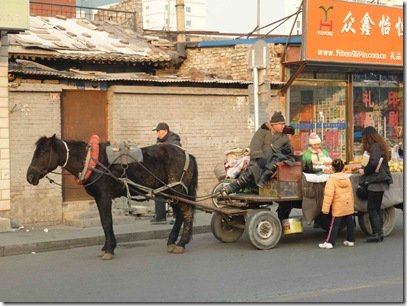 P1000109