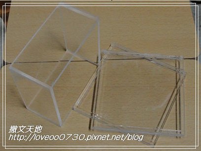 20090920006.jpg
