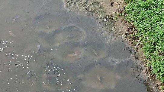 DSC_6578.JPG