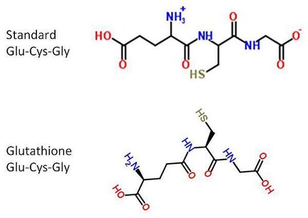 Glu-Cys-Gly 2 form