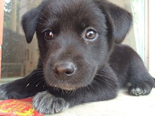 Angel_171123_0008.jpg