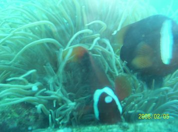 66-第二天魚眼公園-海底瞭望台.jpg