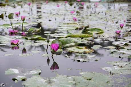 花蓮海景福居民宿