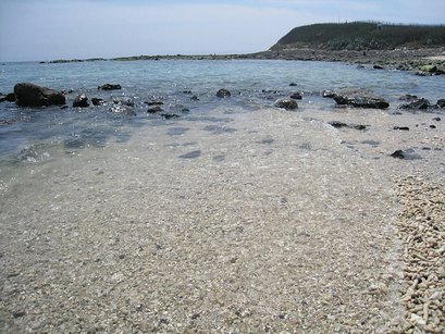 IMG_4151.jpg