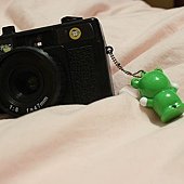 IMG_4065.JPG