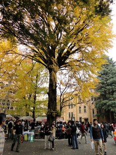 DSC01595.JPG