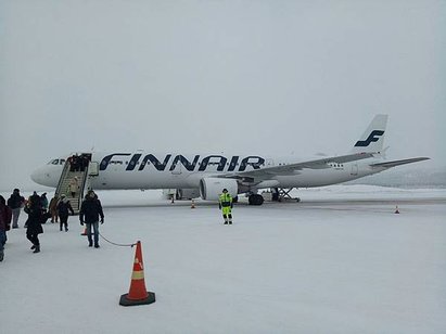 95725.jpg