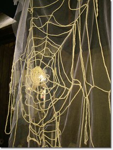 spider web in earthtree.jpg