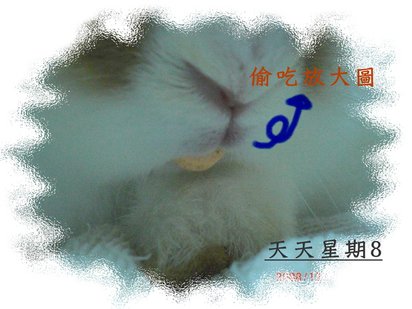偷吃啾放大.jpg