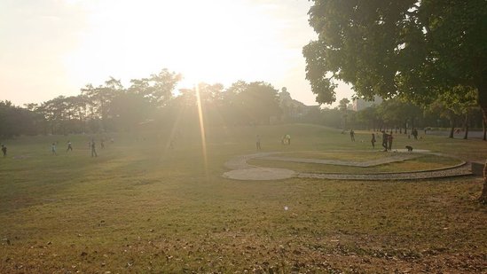 DSC_0103.jpg