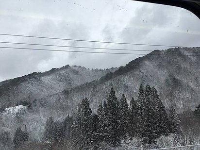 p156855964265.jpg