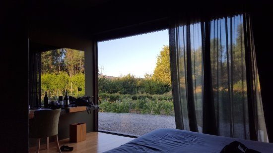 winefromroom1