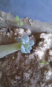 IMAG1401