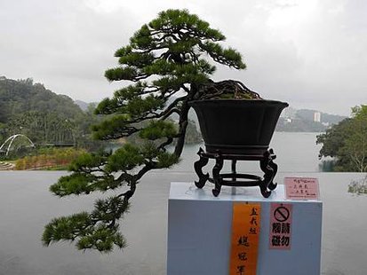 DSCN3774-1