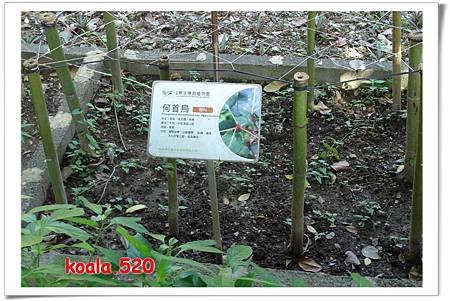 原生應用植物園07