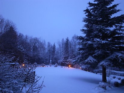 R0022520.JPG