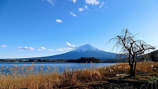 河口湖_大石公園1.jpg