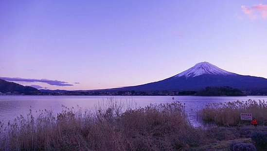 河口湖_大石公園5_compressed.jpg