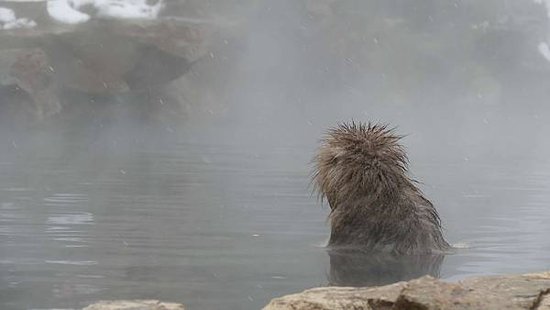 地獄谷27_compressed.jpg