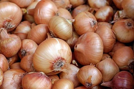 onions_洋蔥-1397037_1920