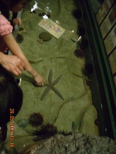 DSCN7431.JPG