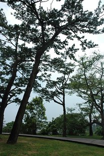 DSC_0041.jpg