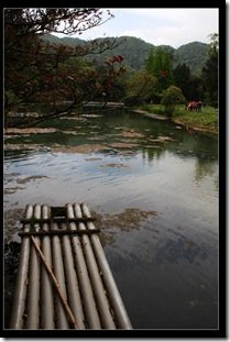 20100410 福山植物園_勝洋水草 IMG_9615