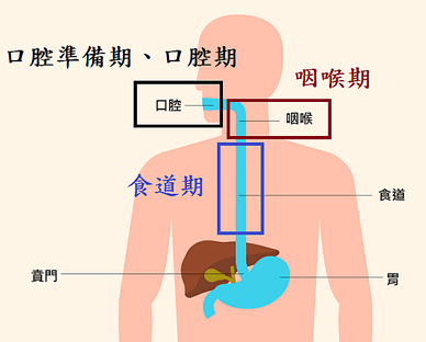 未命名.png