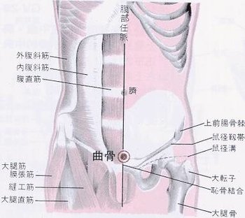 曲骨穴.jpg