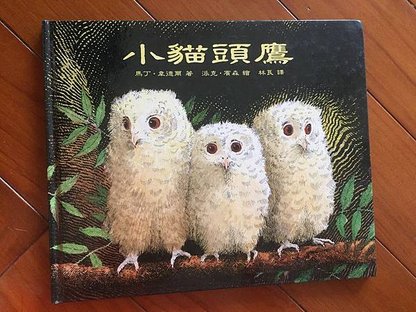 小貓頭鷹.JPG