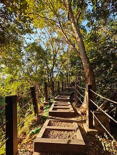 來去爬山囉! | 小百岳