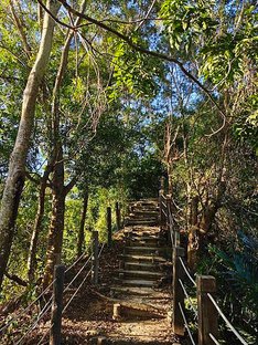 來去爬山囉! | 小百岳